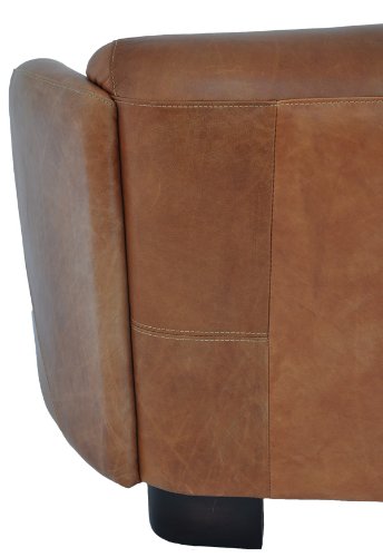 Clubsofa Rocket 2-Sitzer Vintage Leder, hell Columbia Brown Echtleder Sofa Couch - 6